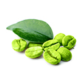 Groene Koffie Groene Koffie