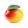Een afrikaanse mango neergelegd op een witte achtergrond