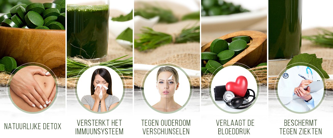 Vijf voordelen van chlorella - natuurlijke detox, sterk immuunsysteem, tegen ouderdom, verlaagt bloeddruk en bescherming