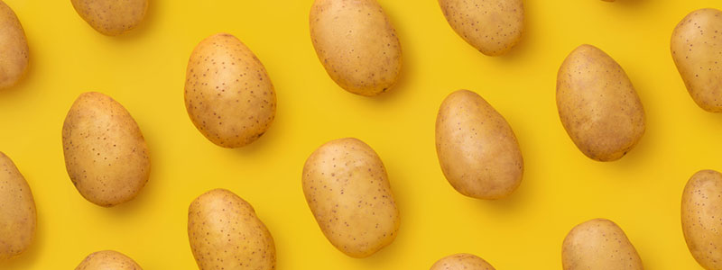 Gele achtergrond met daarop neergelelgd meerdere aardappelen