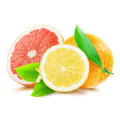 Een hele sinaasappel met daarvoor een halve citroen en een halve grapefruit Een hele sinaasappel met daarvoor een halve citroen en een halve grapefruit