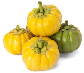 Vier gestapelde garcinia cambogia vruchten waarvan 3 geel en 1 groen Vier gestapelde garcinia cambogia vruchten waarvan 3 geel en 1 groen