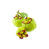 Twee normale garcinia cambogia vruchten en een kleintje ervoor