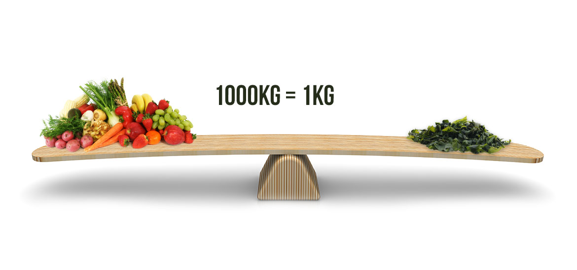 Houte weegschaal met aan een kant 1000 kilo groente en fruit en aan de andere kant 1 kilo spirualine - gelijke voedingswaarde Houte weegschaal met aan een kant 1000 kilo groente en fruit en aan de andere kant 1 kilo spirualine - gelijke voedingswaarde