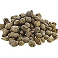 Ginseng Thee