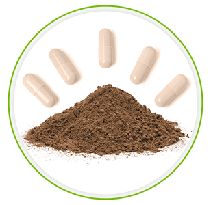 Hoopje guarana poeder met erboven, in de vorm van een halve cirkel, 5 guarana capsules Hoopje guarana poeder met erboven, in de vorm van een halve cirkel, 5 guarana capsules