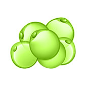 Lipide Metabolisme Lipide Metabolisme