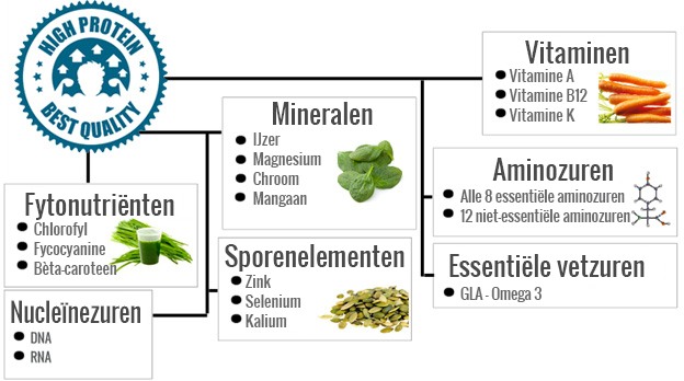 Info bio spirulina - Informatie over de voedingswaarde in spirulina 
