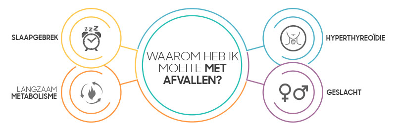 infographic afvallen - Waarom heb ik moeite met afvallen? met als redenen: slaapgebrek, langzaam metabolisme, geslacht