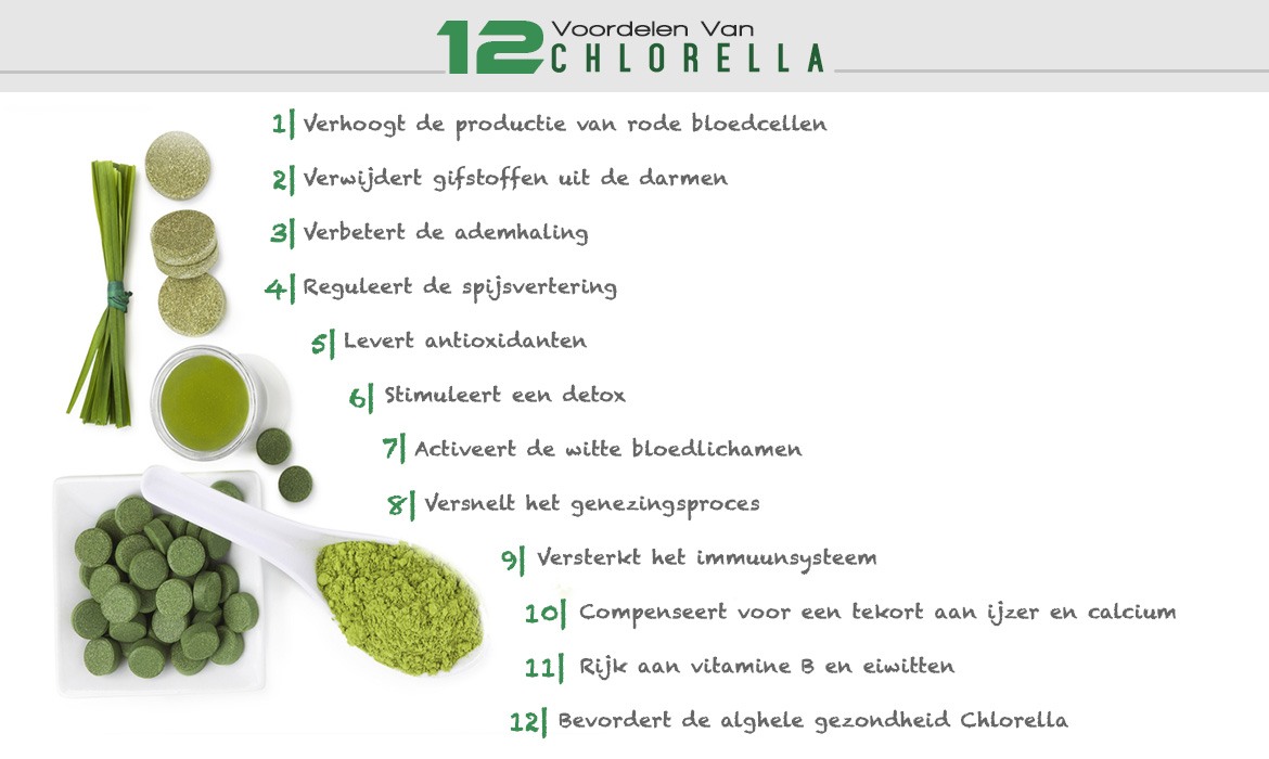 Inforgraphic bio super chlorella - 12 voordelen van chlorella 