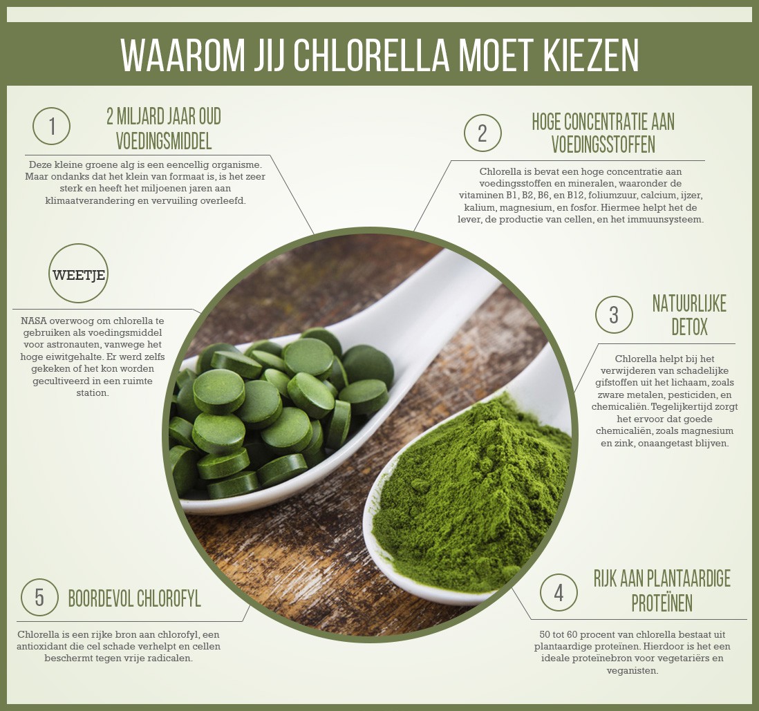 Infographic chlorella - Waarom moet jij chlorella kiezen? Beschreven door voordelen en weetjes