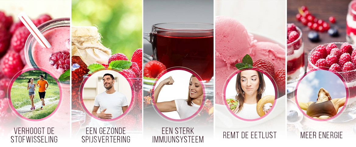 infographic framboos ketone - De voordelen van framboos ketonen zoals verhoging stofwisseling en gezonde spijsvertering