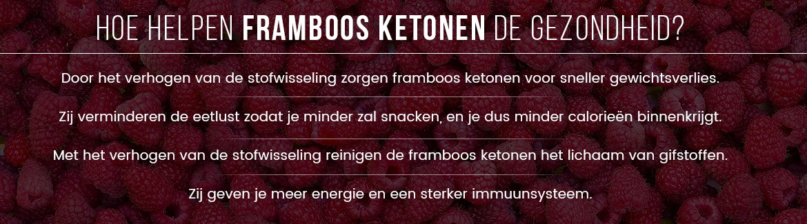 Infographic raspberry ketone pure - Hoe helpen framboos ketonen de gezondheid?
