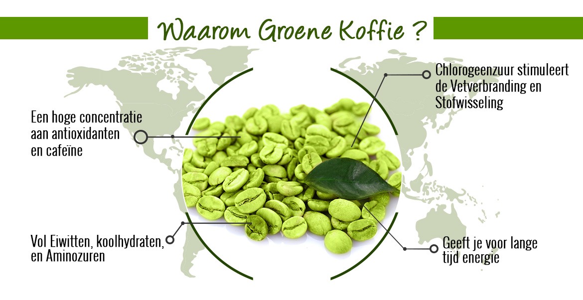 Infographic green coffee - Groene koffie bonen met er omheen verschillende reden waarom je groene koffie moet kiezen