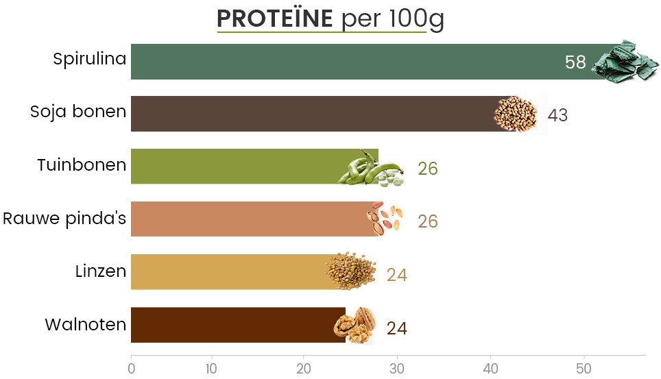 Infographic proteine - Proteine vergelijking in spirulina, sojabonen, tuinbonen, pinda's, linzen en walnoten