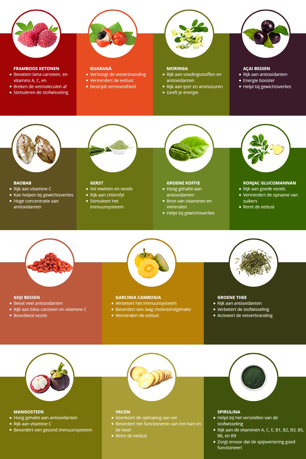 Infographic superfoods - Alle superfoods met daarbij hun eigenschappen en voordelen