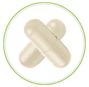 Cirkel met groene omlijning met daarin 2 capsules die elkaar kruisen Cirkel met groene omlijning met daarin 2 capsules die elkaar kruisen