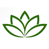 Een tekening van een lotus die wit is met een groene omlijning Een tekening van een lotus die wit is met een groene omlijning
