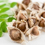De moringa zaden, die voor veel dingen kunnen worden gebruikt, neergelegd op een tafel De moringa zaden, die voor veel dingen kunnen worden gebruikt, neergelegd op een tafel