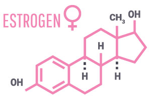 Tekening van het oestrogeen gehalte en systeem in het roze