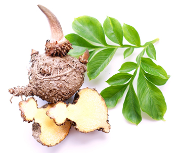 Glorieuze Glucomannan Glorieuze Glucomannan