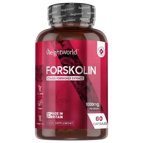 Pure Forskolin - 1000 mg 60 capsules - Natuurlijk voedingssupplement - Coleus Forskohlii-extract