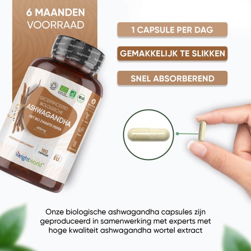 Wanneer kun je ashwagandha het beste innemen?