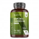 Garcinia Cambogia capsules