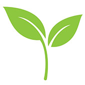 Hersenen Gezondheid Hersenen Gezondheid