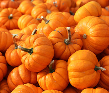 Pompoenen
