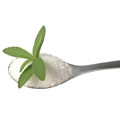 Een lepel met stevia, een zoetstof ontrokken uit de stevia rebaudiana plant Een lepel met stevia, een zoetstof ontrokken uit de stevia rebaudiana plant