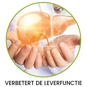 Groene cirkel met twee handen met daarin een stralende lever die staat voor verbetering