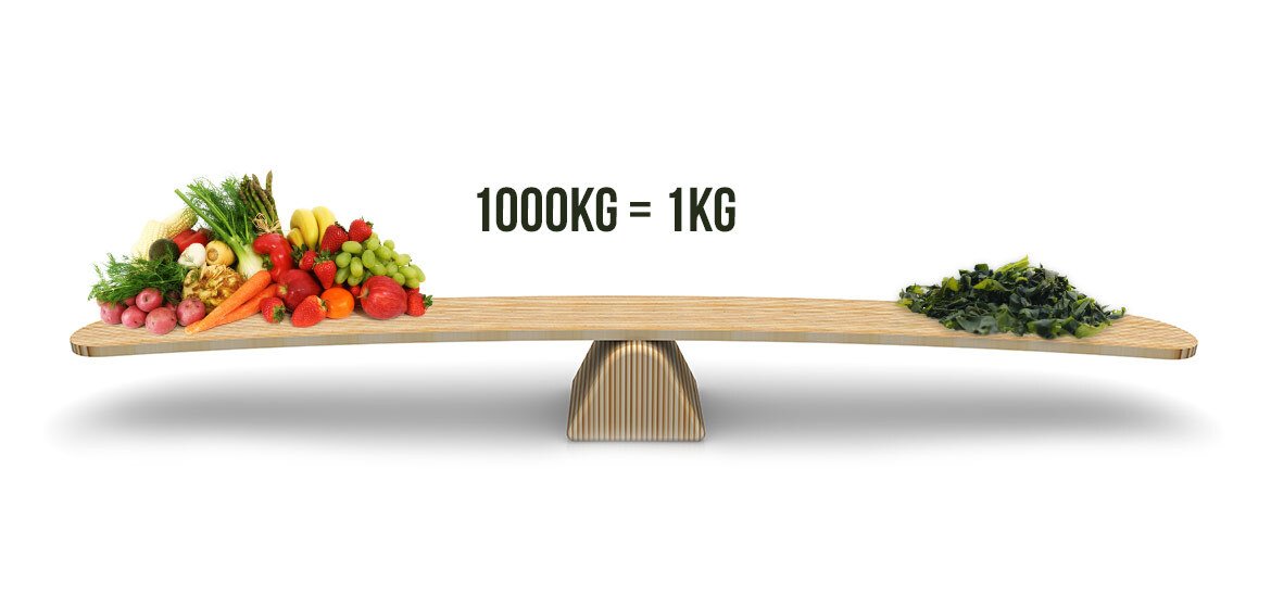 Gelijkenis aan voedingswaarde in 1000kg groene en fruit en 1kg spirulina Gelijkenis aan voedingswaarde in 1000kg groene en fruit en 1kg spirulina
