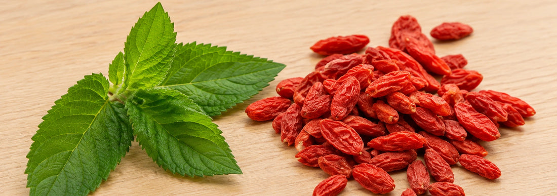 Een open potje met berberine capsules