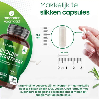 Cholinebitartraat-ww-nl-04