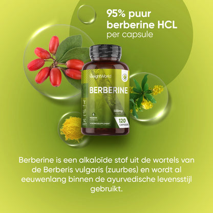 berberine-nl-2