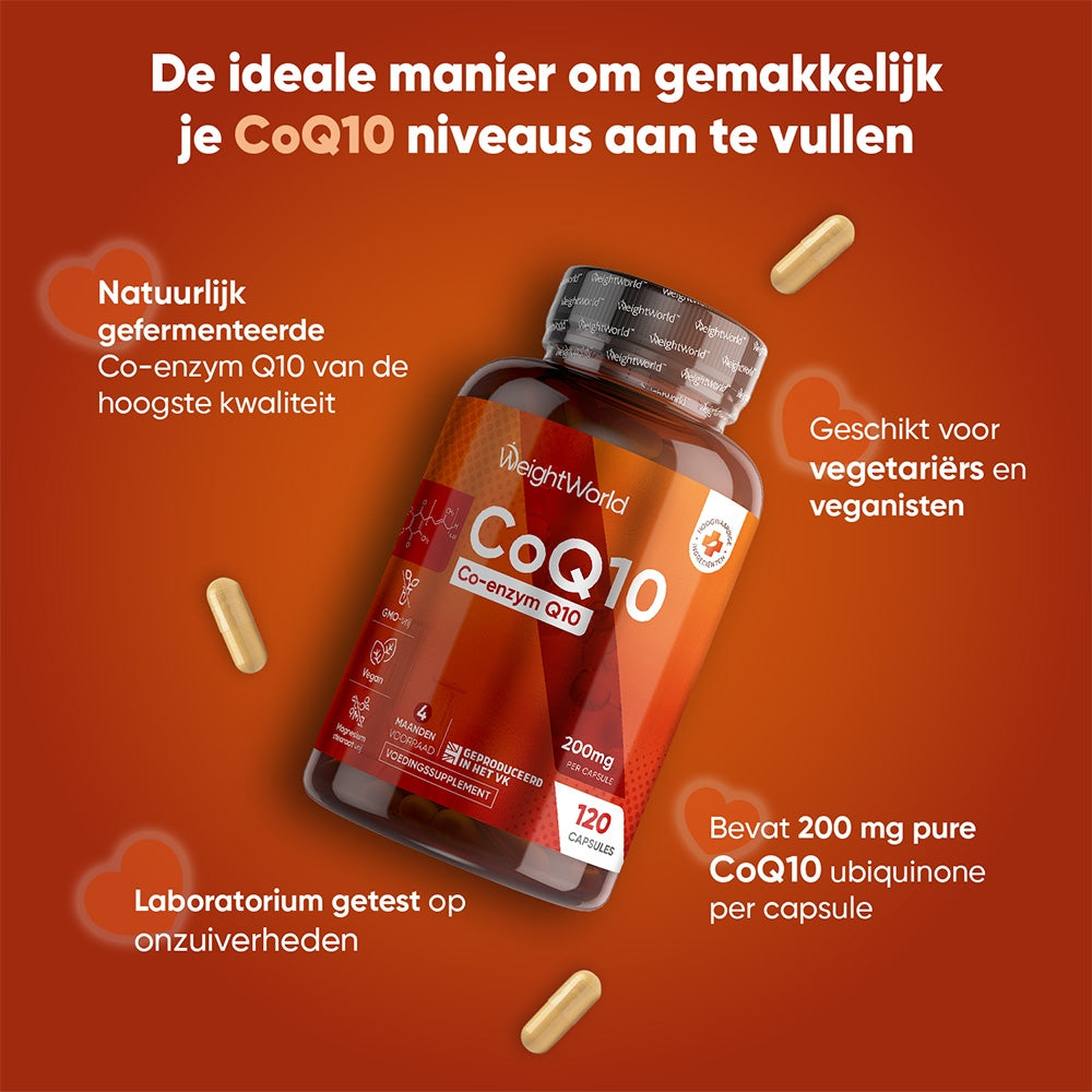 coq10-pure-nl-3