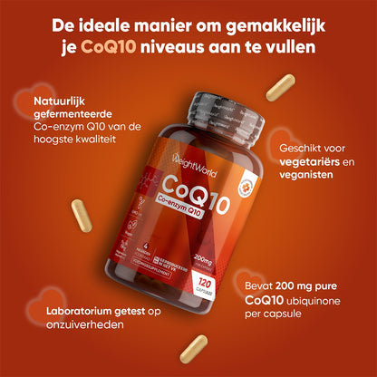 coq10-pure-nl-3