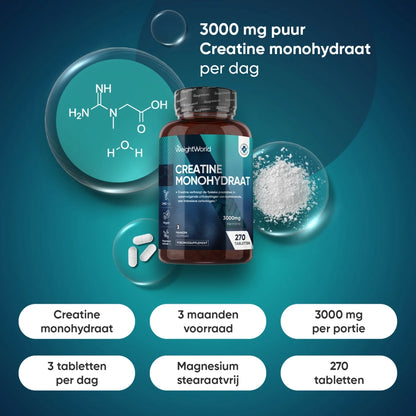 creatine-monohydrate-tablets-nl-2