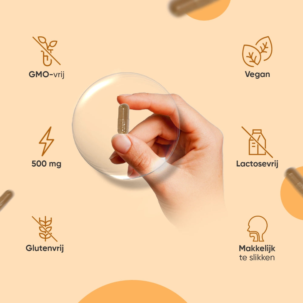 curcumin-with-ginger-and-black-pepper-500mg-nl-4
