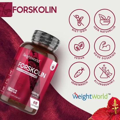 forskolin-caps-nl-03