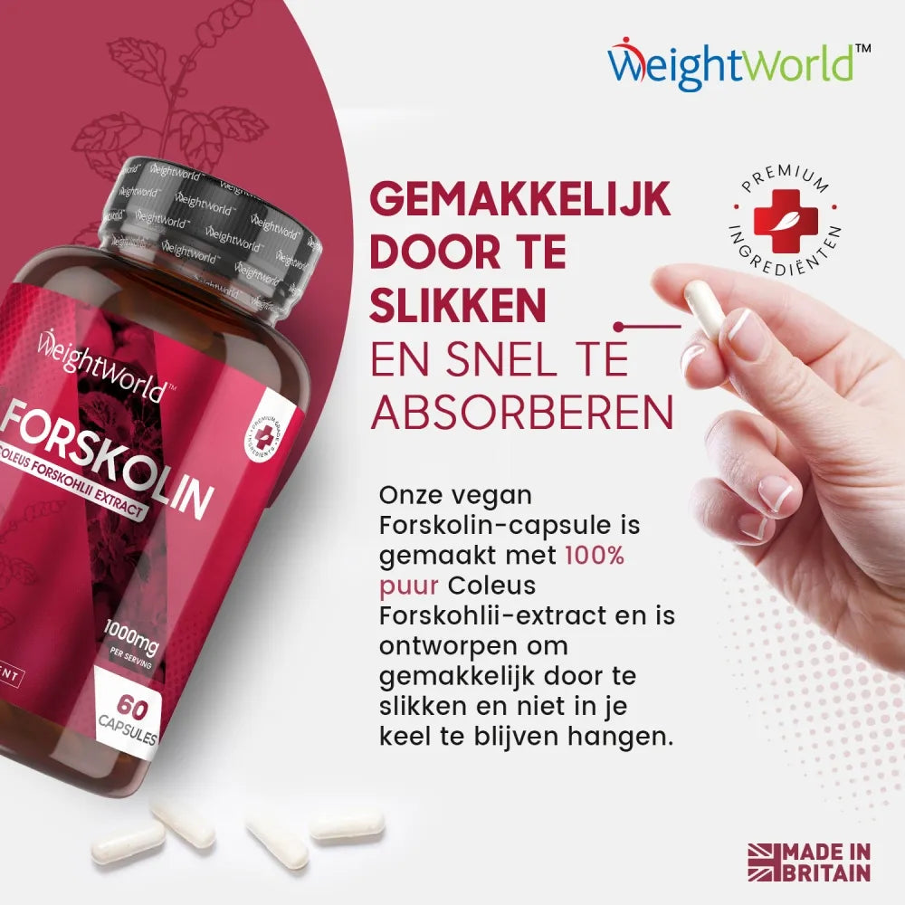 forskolin-caps-nl-04
