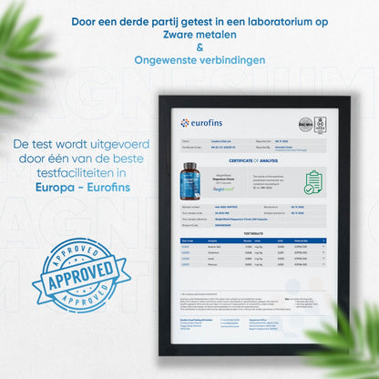 magnesium-citrate-caps-nl-04