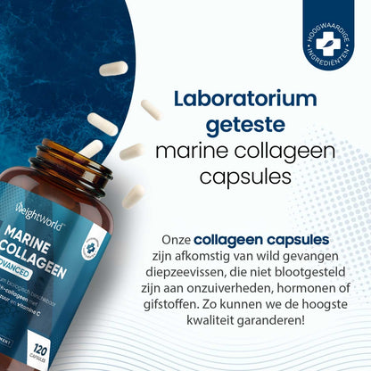 marine-collagen-advanced-nl-3