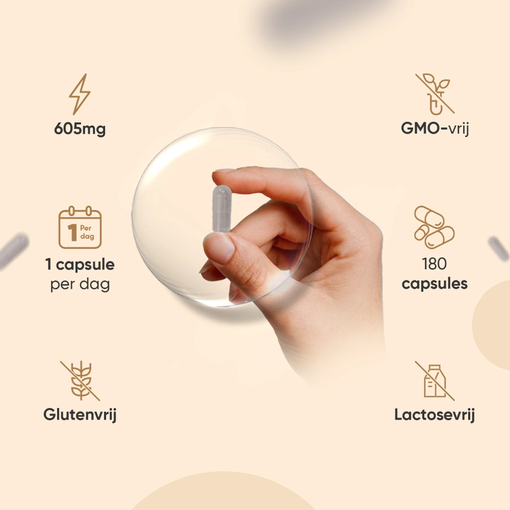 organic-aswagandha-caps-nl-4