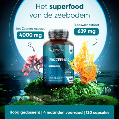 weightworld-irish-sea-moss-120capsules-nl-3