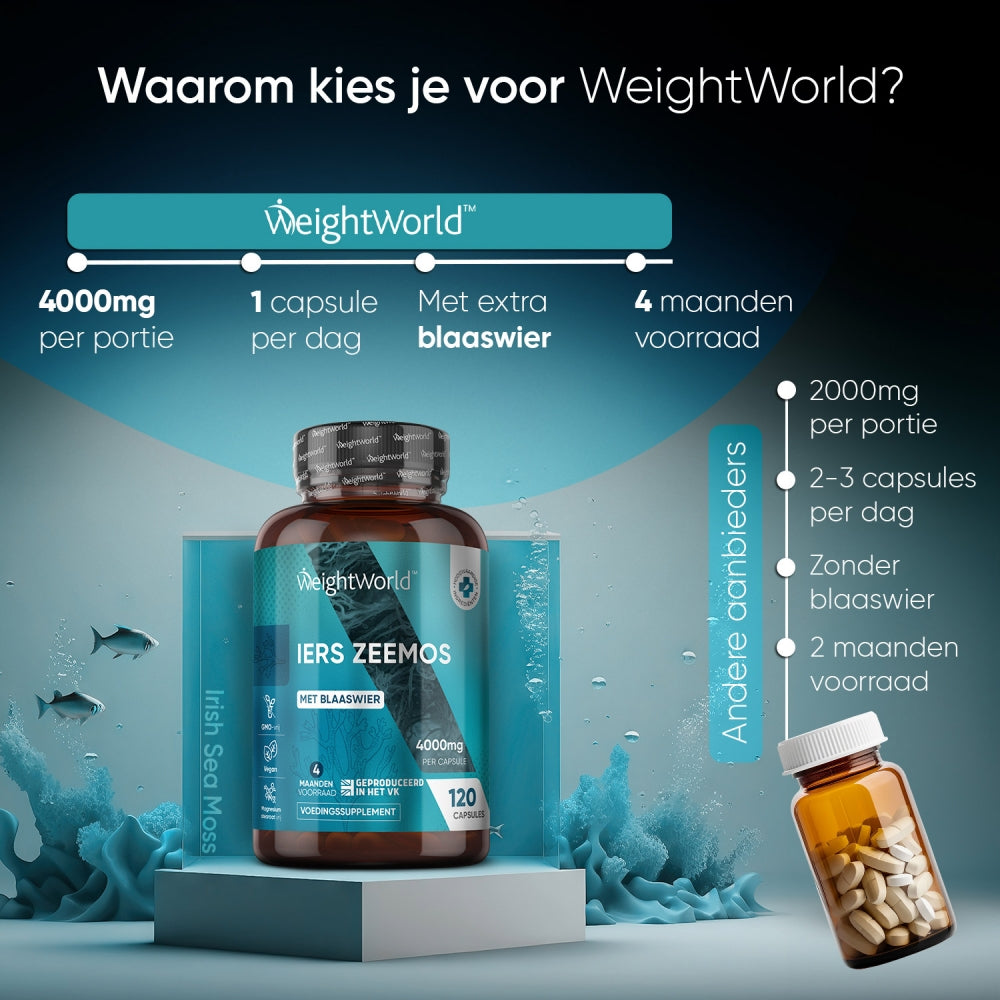 weightworld-irish-sea-moss-120capsules-nl-6