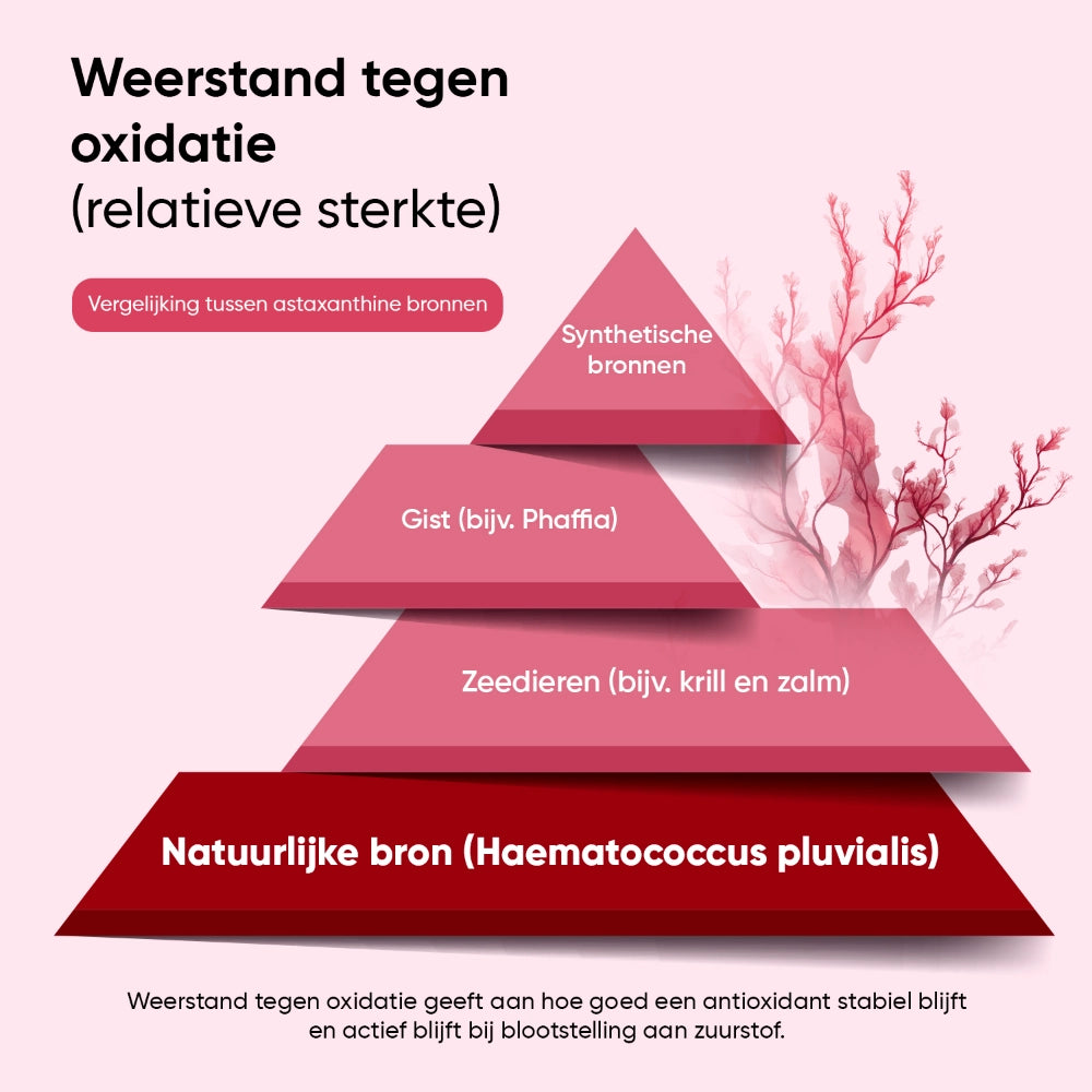 weightworld-nl-astaxanthin-caps-03