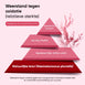 weightworld-nl-astaxanthin-caps-03
