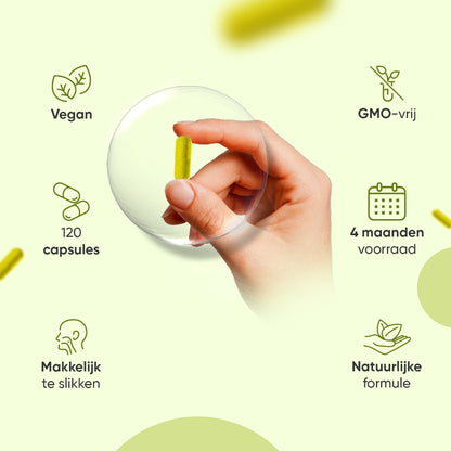 weightworld-nl-berberine-capsuels-bottle-03